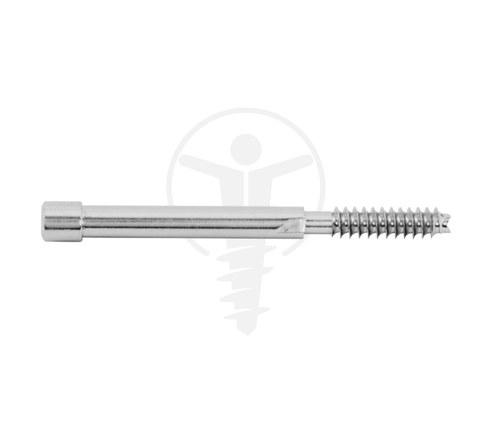 PROXIMAL FEMUR BOLT Ø6.4mm