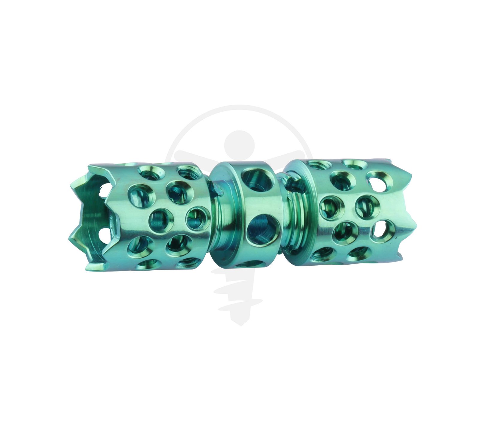 EXPANDABLE CAGE TT