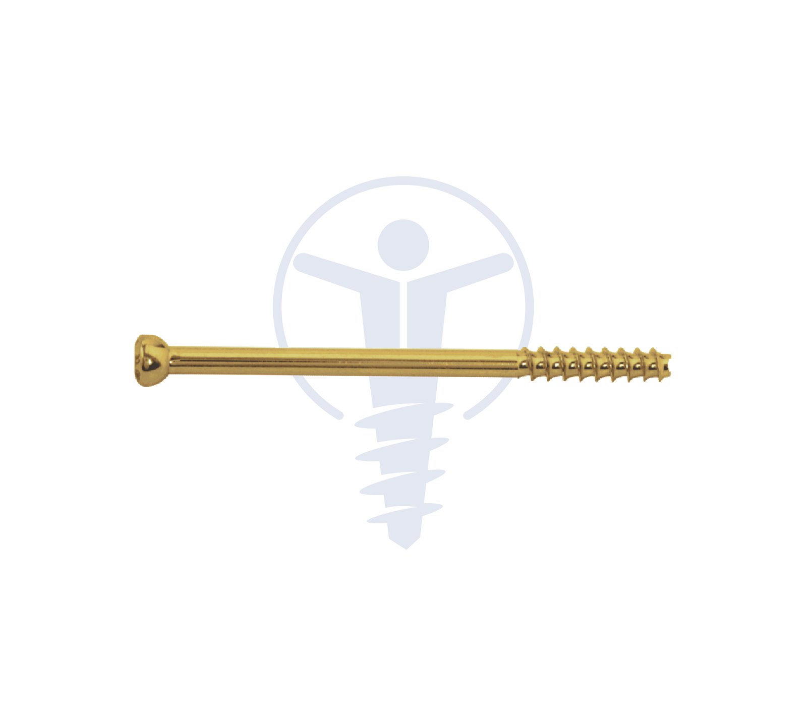 C.C. SCREW Ø4.0mm 16mm Thread TT