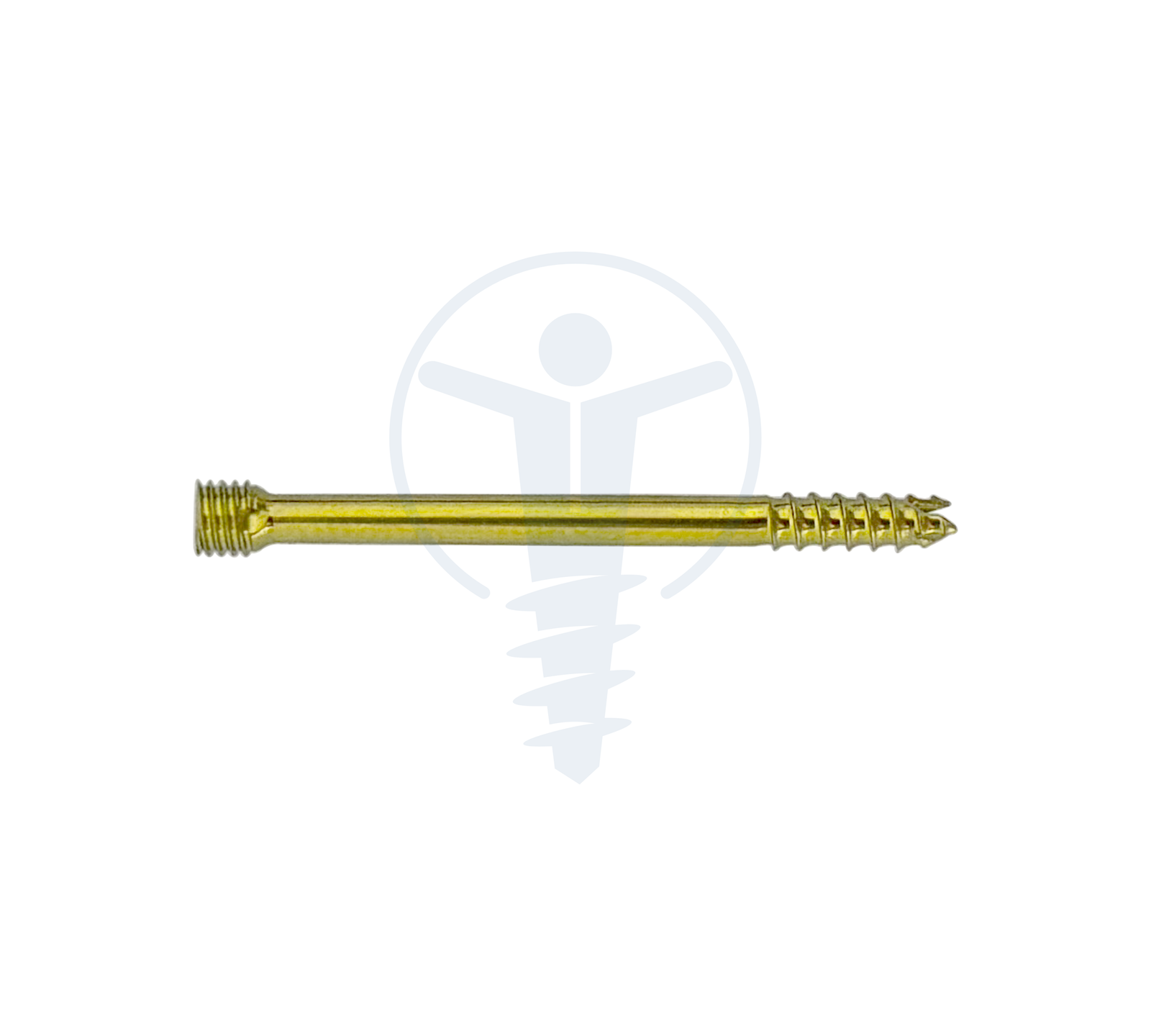 HERBERT SCREW Ø2.4mm T8 TT