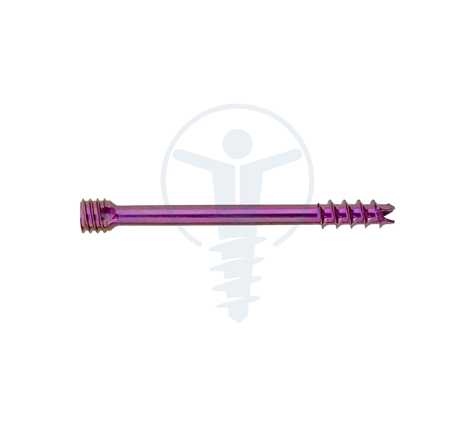 HERBERT SCREW Ø3.0mm T8 TT