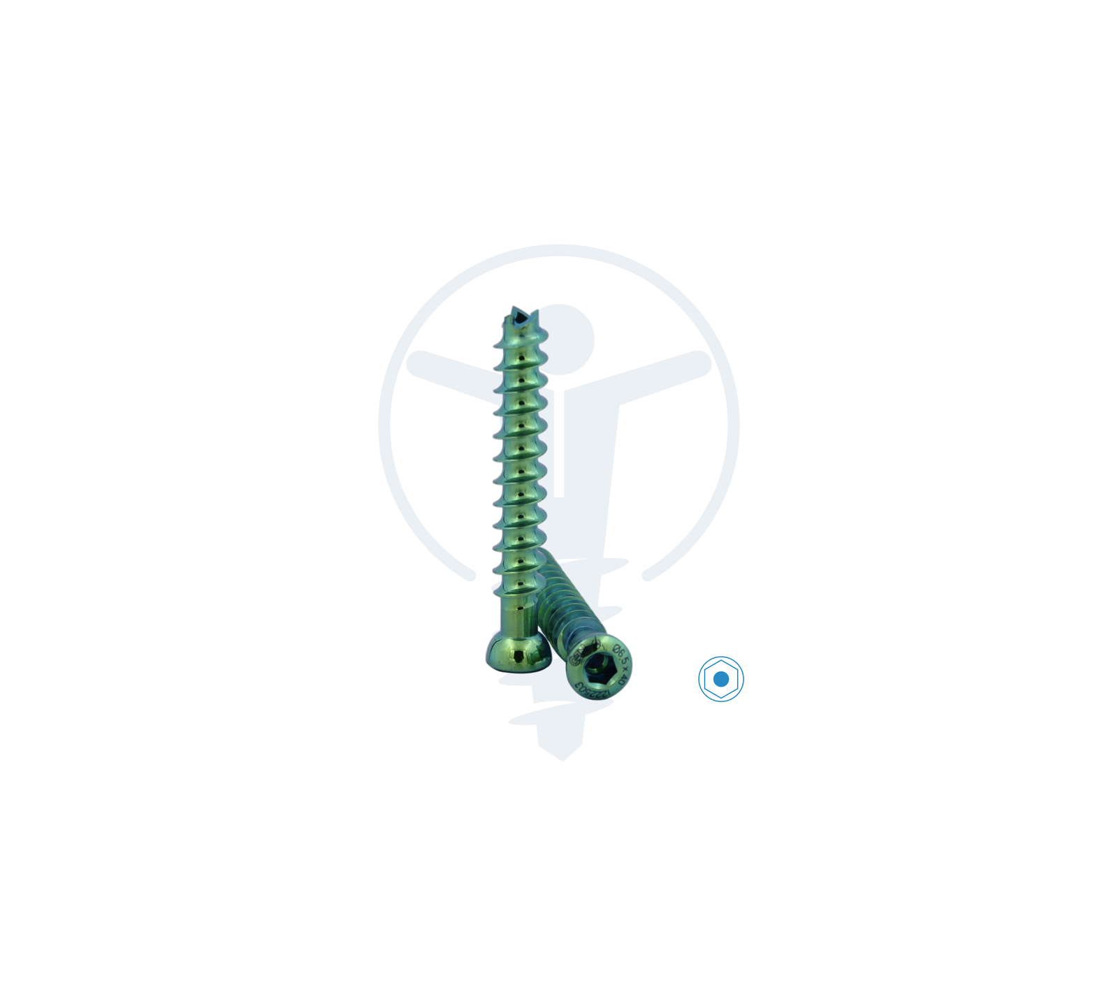 C.C. SCREW Ø6.5mm Full Thread TT
